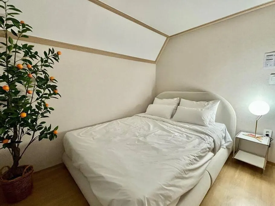 Maporest Big House Seoul Villa
