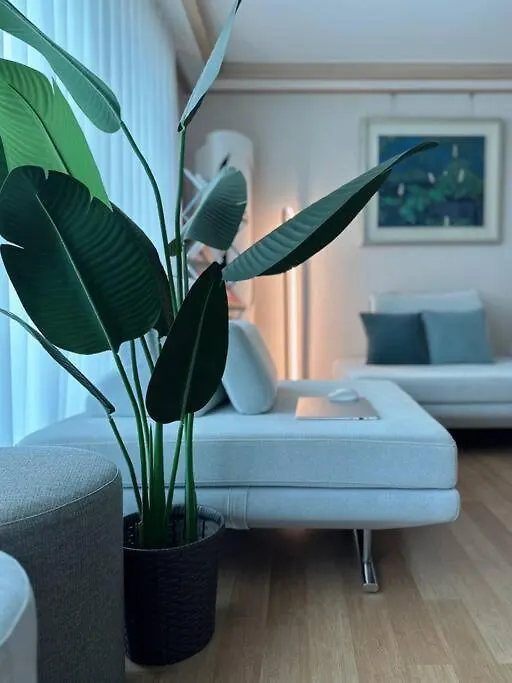 Maporest Big House Seoul Villa